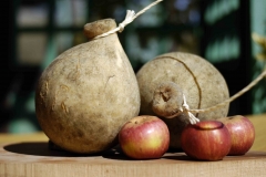 Caciocavallo-Podolico