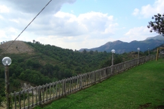DSC00902