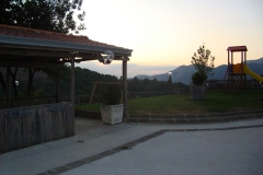 DSC00939