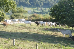 azienda-agricola